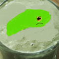 snakeymilkshakey_gmail_com