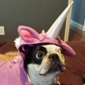 sneekyp