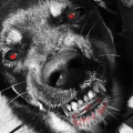 SNIFFERDOGS
