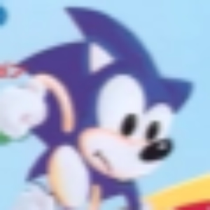SNoC