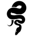 snw16