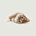 sofia_muenz_gmail_com