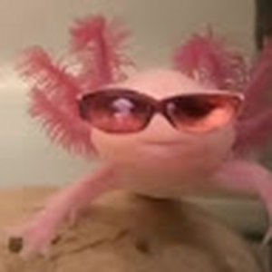 sofiju