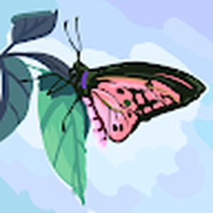 Sofsof556