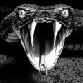 DJ Viper