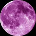 solorsanodo0118_sbcusd_k12_ca_us