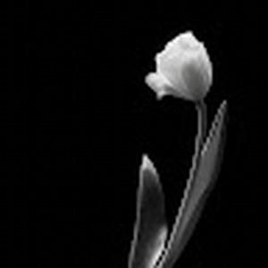 solvesch_gmail_com