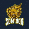 sonnylockett08_icloud_com