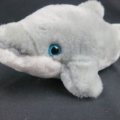 sooshifish