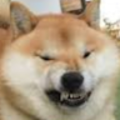 Soulshibe