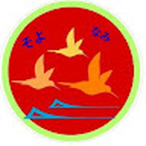 soyonami