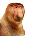 SpiderMonkey69