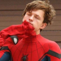 SpideyFan25