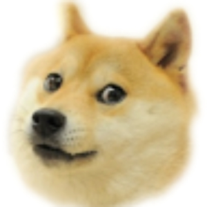 spoderdoge