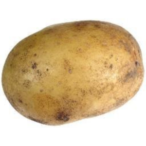 Jake The Boy
