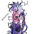ssjgrade4songoku