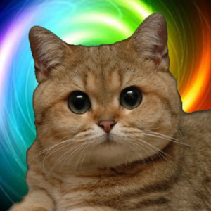 Starecat