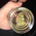 stayhigheyeslow420_420