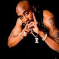 stephanievat805_gmail_com