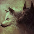 steve_menji7_gmail_com