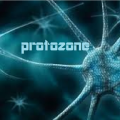 Protozone