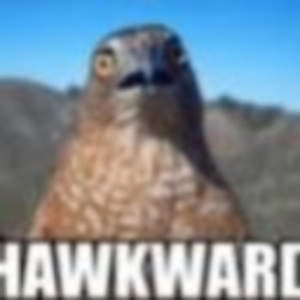 Hawktronic (Goin Thru it)