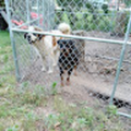 stu_bruces_mishawaka_k12_in_us