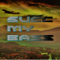 SuccMyBass UwU