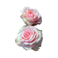 Sugarly_Roses