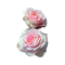 Sugarly_Roses