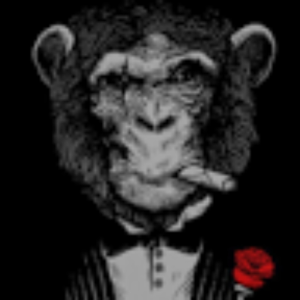 sunsetchimp