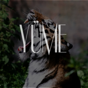 YUME