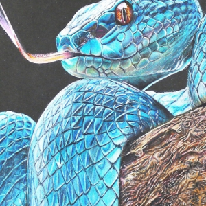 SupaSnake