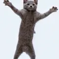 supercalifragilisticexpiolidociouse_man
