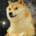 SupremeDoge