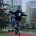 sveto113