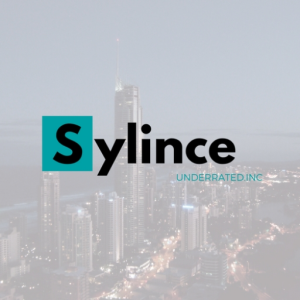 ☀Sylince☀