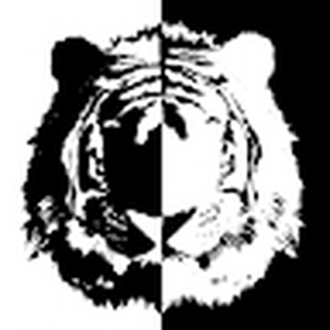 tabbydatiger