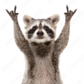Tantboel