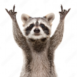 Tantboel