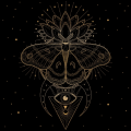 Tarryn_Moter