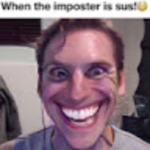 Team1developer