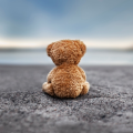 TeddyKate