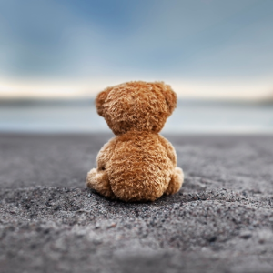 TeddyKate