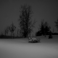 Temporal