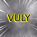TermsVuly