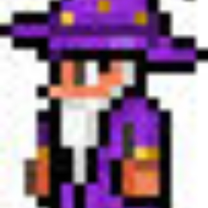 Terraria's Wizard