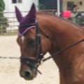 tessmann_anna_2024