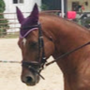 tessmann_anna_2024