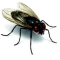 The fly on the wall of AT